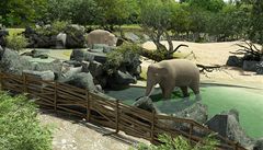 Zoo má nový sloninec: nechybí topení ani drbadla