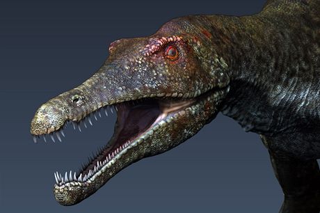 Spinosaurus (ilustraní foto)