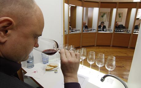 Degustátor a len hodnotící komise Ivo Dvoák vybírá v Národním vinaském centru ve Valticích na Beclavsku jednoho ze tí ampión nejvtí vinaské pehlídky v eské republice - Valtických vinných trh. 