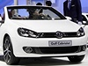 ínský trh je v hledáku koncernu Volkswagen