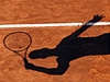 Ilustraní tenis antuka - Novak Djokovi