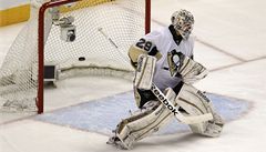Marc-Andre Fleury