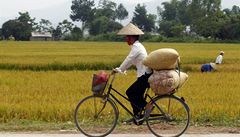 Žena z thajské menšiny ve Vietnamu jede na kole kolem zaplavených rýžových polí ve městě Dien Bien Phu, 16. května 2011.  | na serveru Lidovky.cz | aktuální zprávy