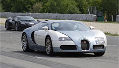 Nejrychlej�í sériov� vyráb�ný v�z na sv�t� Bugatti Veyron na mezinárodním srazu sportovních aut v Brn�. V pozadí je v�z Gumpert Apollo. 