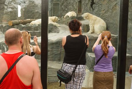 Návtvníci praské zoo - ilustraní foto.