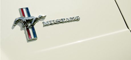 Ford Mustang (ilustraní foto)