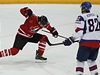 Slovensko - Kanada, kanadský hokejista Alexandre Burrows dává gól, kterému se...