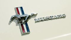 Ford Mustang (ilustrační foto) | na serveru Lidovky.cz | aktuální zprávy