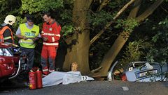 Ti mladí mui a ena zemeli 28. kvtna po pl sedmé veer pi nehod kody Octavie u Hrádku nad Nisou na Liberecku. Zranného pátého úastníka nehody pevezl vrtulník na ízené ventilaci do liberecké nemocnice. 