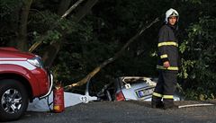 Ti mladí mui a ena zemeli 28. kvtna po pl sedmé veer pi nehod kody Octavie u Hrádku nad Nisou na Liberecku. Zranného pátého úastníka nehody pevezl vrtulník na ízené ventilaci do liberecké nemocnice. 