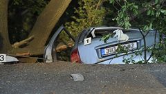 Ti mladí mui a ena zemeli 28. kvtna po pl sedmé veer pi nehod kody Octavie u Hrádku nad Nisou na Liberecku. Zranného pátého úastníka nehody pevezl vrtulník na ízené ventilaci do liberecké nemocnice. 