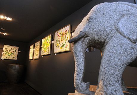 Výstava obraz malovaných slonicí s názvem "Shanti: Tvrí retrospektiva"  je k vidní v praské Marthi Gallery.