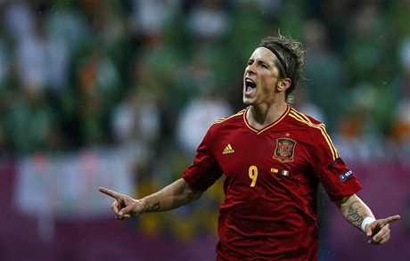 panlský fotbalista Fernando Torres