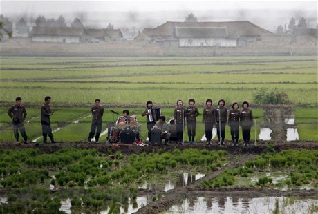 V Severní Koreji hraje kapela v rýovém poli.
