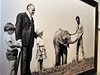 Dnes estaticetiletá slonice Shatni si zahrála jako roní mlád po boku pana Tau ve filmu Poplach v oblacích.