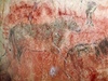 Nkteré z pravkých maleb ve panlských jeskyních, vetn Altamiry, jsou...