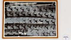 Špaňhel a Pastrňák vystavují své obrazy ve Vile Augustus