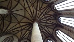 Tuto fotku z Jakobínského kostela v Toulouse by si prý m�l odvézt ka�dý turista. Klenutí se sloupy do tvaru palem je prý jedine�né.