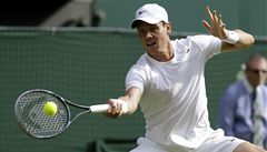 �eský tenista Tomá� Berdych