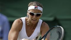 Jaroslava �vedovová