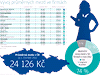 Vvoje mezd ve firmch - infografika