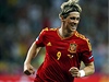 Fernando Torres oslavuje branku