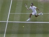 Roger Federer a Andy Murray ve finále Wimbledonu