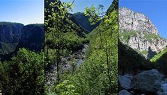 Ka�on Vikos, �ecko.