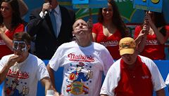 Sout� jedlík� hot dog�