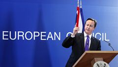 Cameron slbil referendum o lenstv v unii po roce 2015 