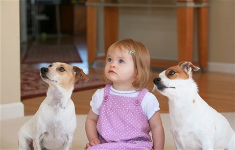 Děti vyrůstající v domácnosti se psy jsou zdravější, tvrdí evropská studie.