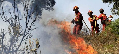panltí hasii bojují s poárem u Girony.