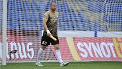 �eský branká� David Bi�ík