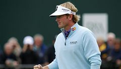 Brandt Snedeker