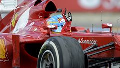 Fernando Alonso (ferrari)