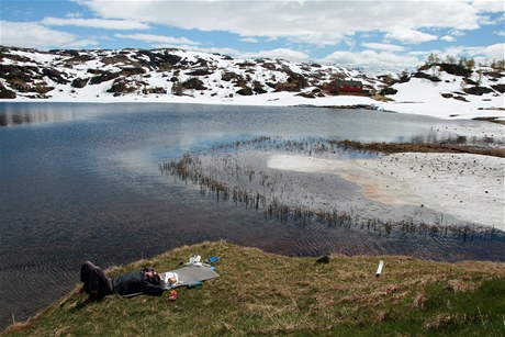 Svaina v horách Hardangerviddy.