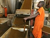 Zpracovávání aje v ugandské továrn.