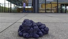 Berlín ozvlátnily kupy umlé modré koské mrvy 