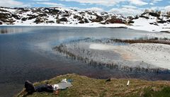 Svaina v horách Hardangerviddy.