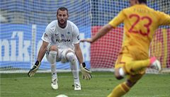 �eský branká� David Bi�ík