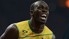Usain Bolt se raduje z vítzství