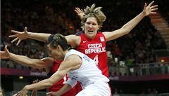 Basketbalistky: esko - Francie