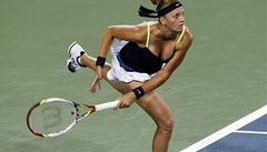 Kvitovou na vod tenisovho US Open ek Hercogov
