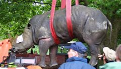 V Zoo �lo hlavn� o bezpe�nost lidí, i zví�at.