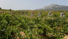 T�etí etapa Vuelty