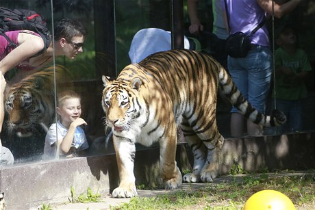 ZOO Dvr Králové nad Labem.