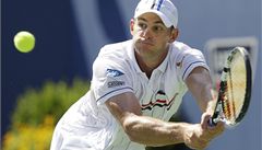 Andy Roddick