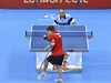 I ping pong lze provozovat o berlích