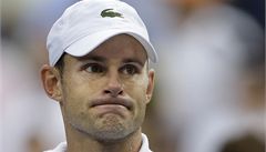 Del Potro ukončil v osmifinále US Open Roddickovu kariéru