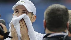 Andy Roddick 
